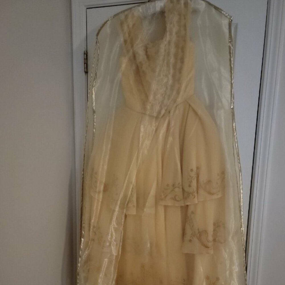 DISNEY COSTUME BEAUTY Limited Edition CHASING FIREFLIES - EXCLUSIVE BELLE DRESS - Picture 2 of 6